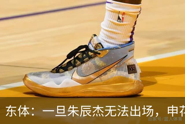东体：一旦朱辰杰无法出场，申花真正意义的中卫只有杨帅和李松益
