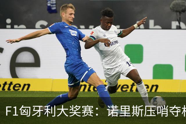 F1匈牙利大奖赛：诺里斯压哨夺杆